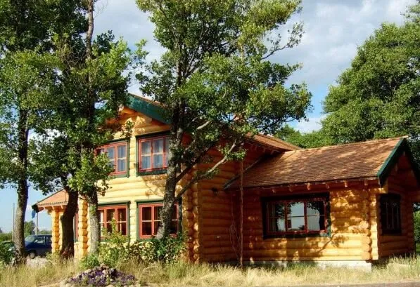 Медведь
