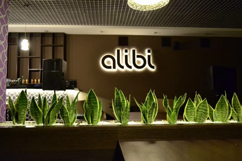 Alibi