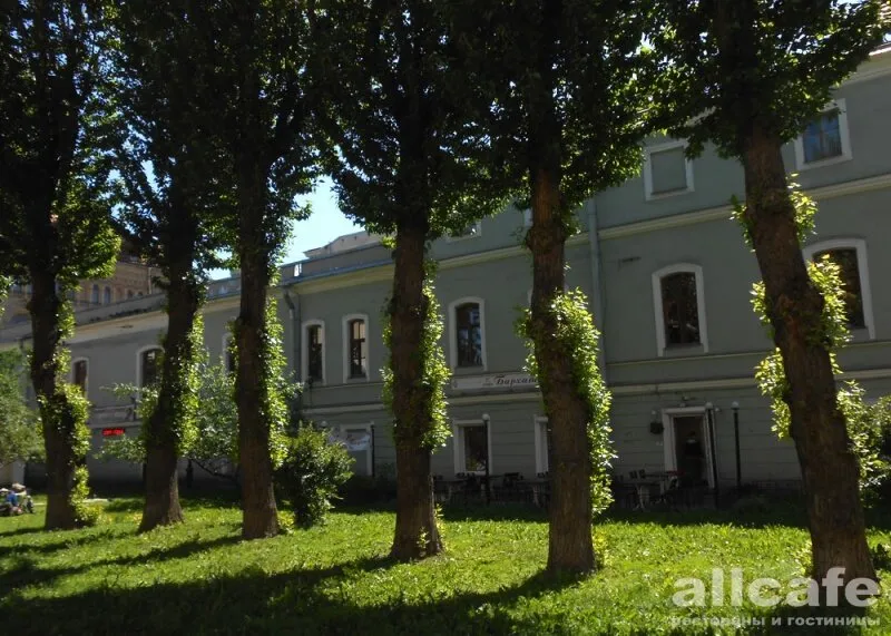 Бархат