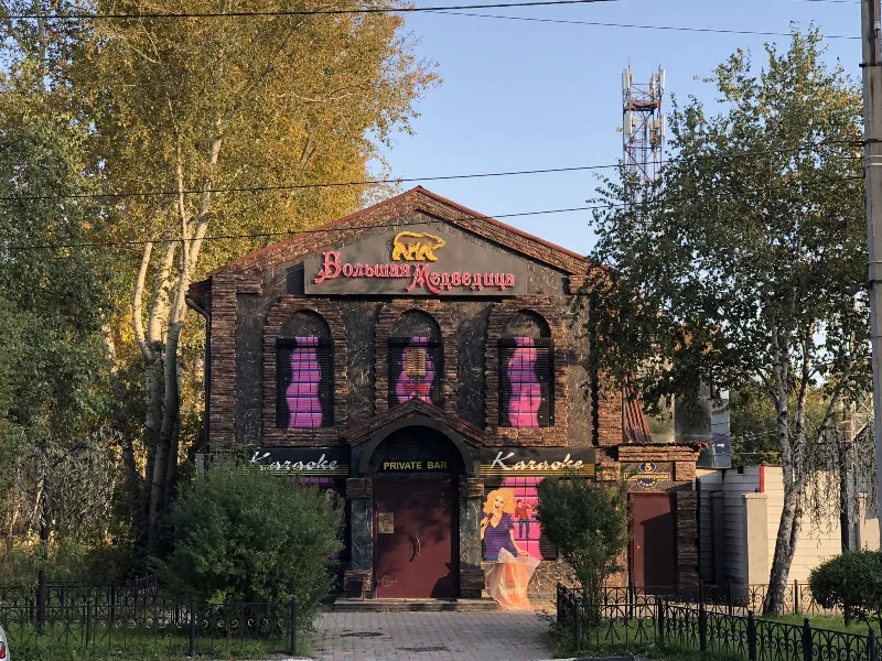 Большая медведица