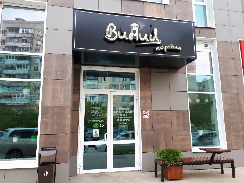 Винил