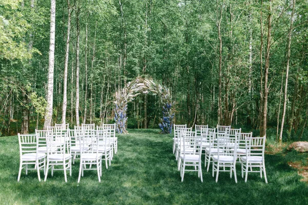 Forest Symphony