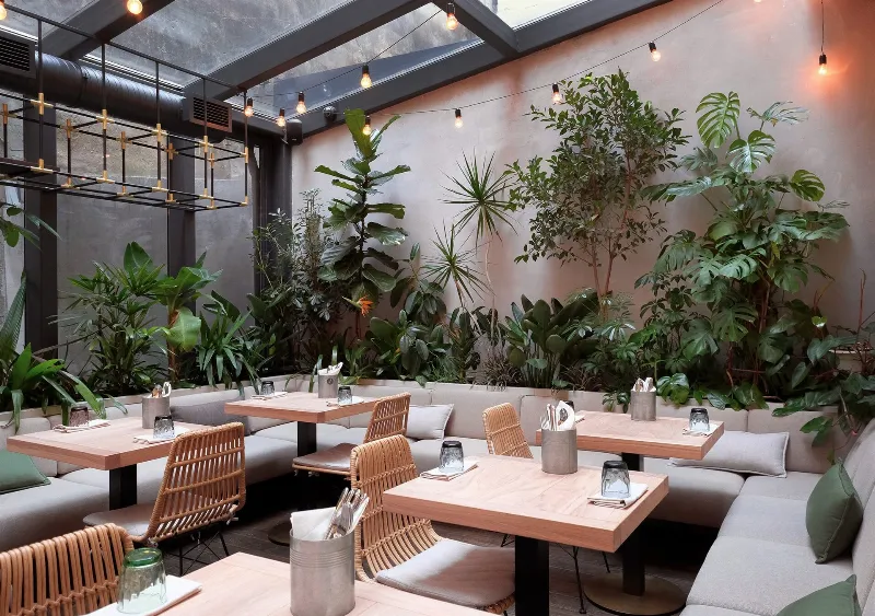 Jungle