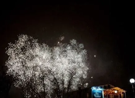 Чайка
