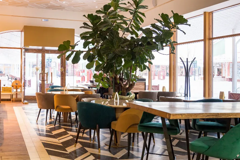 Williams Et Oliver Cafe