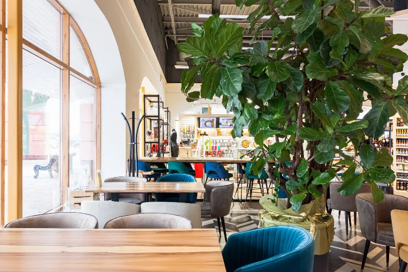 Williams Et Oliver Cafe