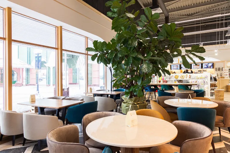 Williams Et Oliver Cafe