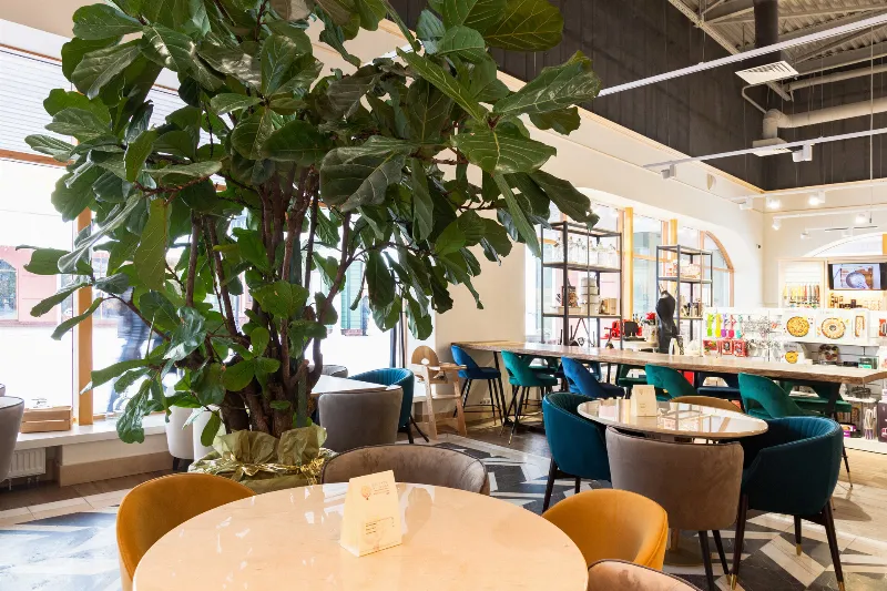 Williams Et Oliver Cafe