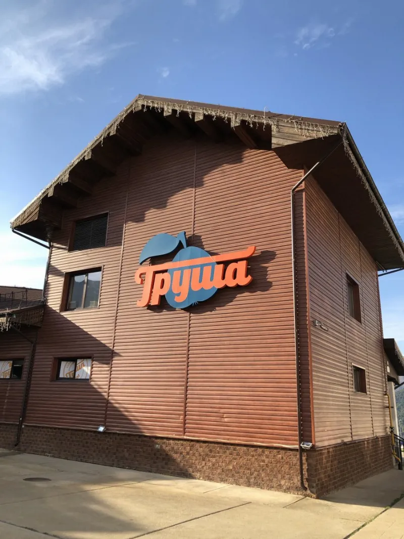 Груша
