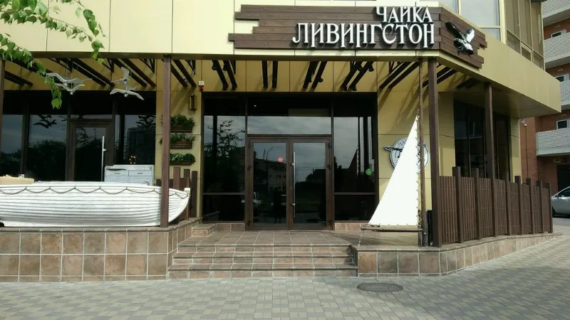 Чайка Ливингстон