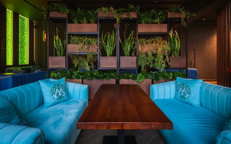 Мята Lounge
