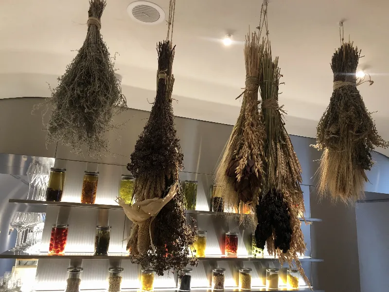 Osteria betulla