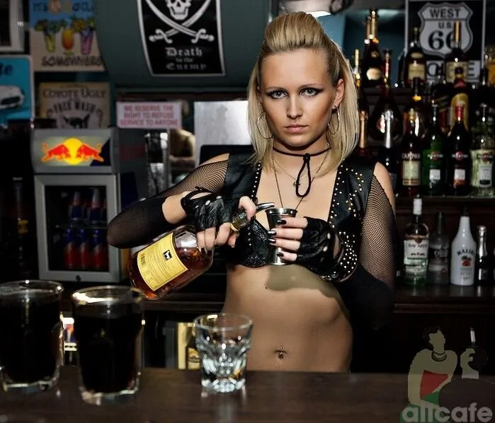 Гадкий Койот / Coyote Ugly