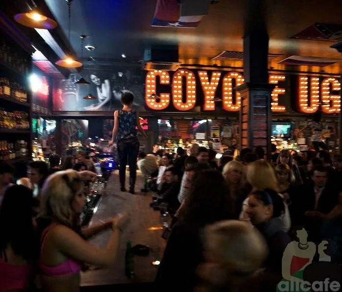 Гадкий Койот / Coyote Ugly