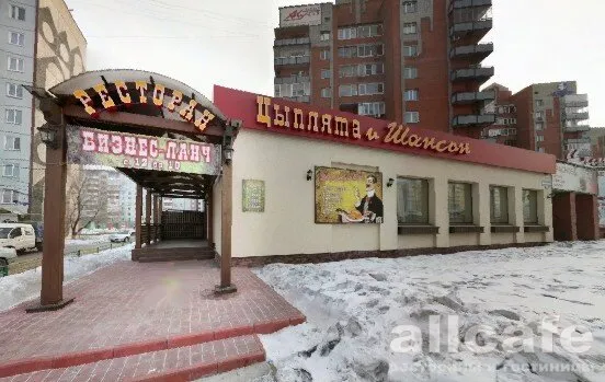 Цыплята и Шансон