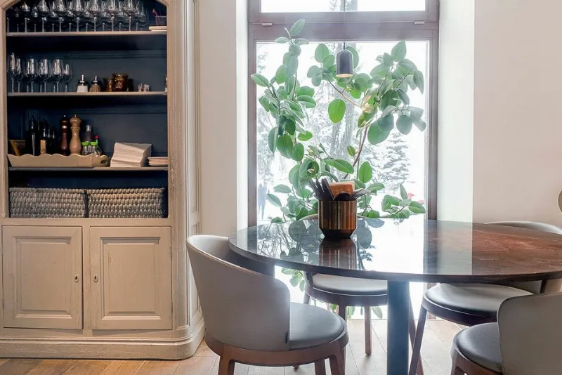 Mozzarella bar / Моццарелла